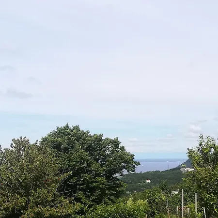 Ferluga Nocleg ze śniadaniem 4*