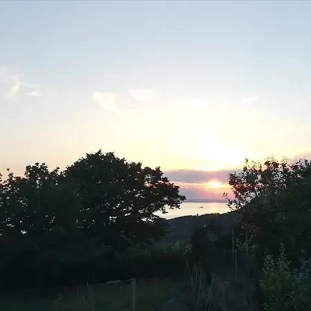 Ferluga טריאסטה