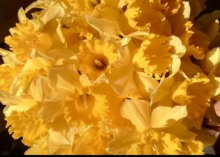 Ferluga Bed & Breakfast Trieste